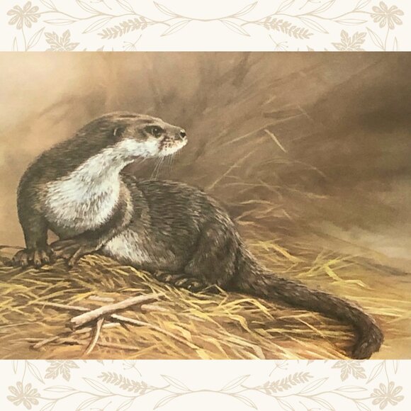 Vintage Mike Nance Otter Print - Picture 3 of 4